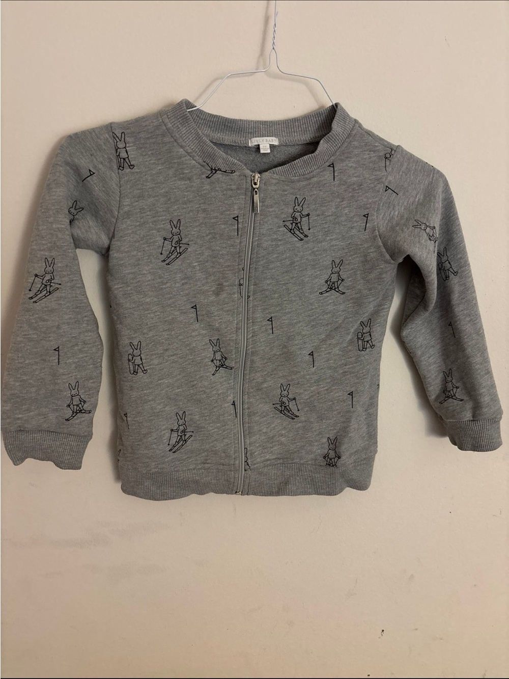 Kids Gray Bunny Zip-Up Hoodie